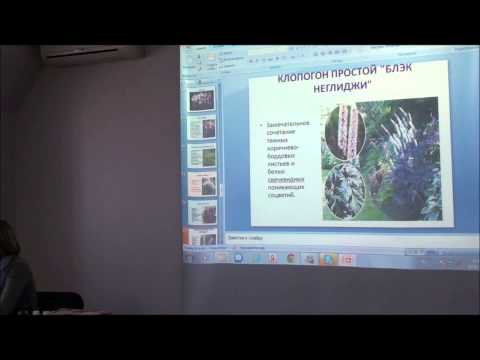 Семинар на тему: