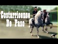 Caballo De Patrón &quot;Costarricense De Paso&quot; (Los Que Usan Los Cantantes) 🐴-Del Cerro Soy