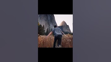 Thumbnail of Kids by MGMT #song#nature#20s#memories#trending