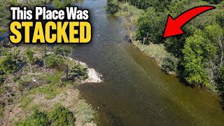 This Place is LOADED! - Fishing One of My Favorite Rivers in Illinois