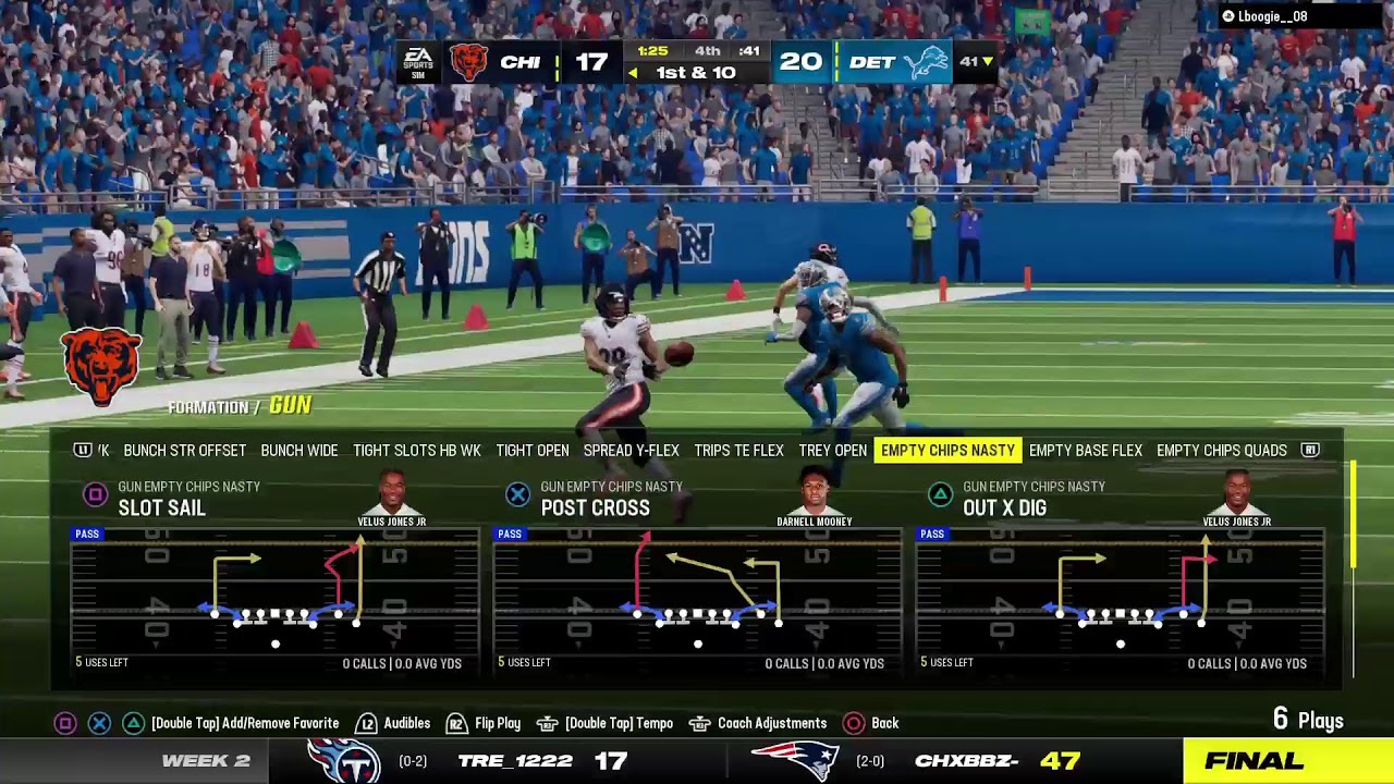 bears-v-lions-youtube