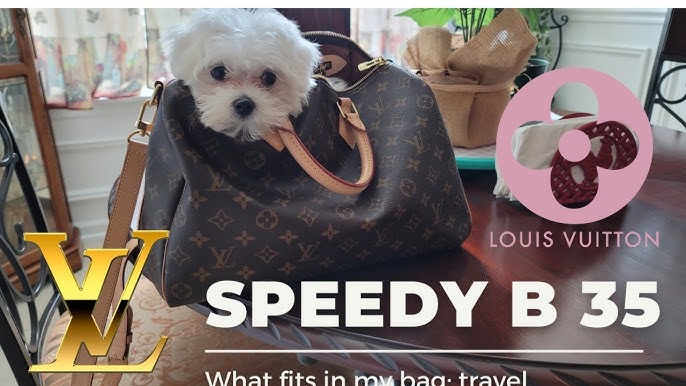 Louis Vuitton Speedy 35  What's in my bag?! 
