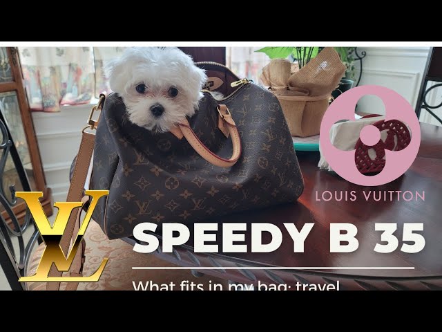 Packing My LV Speedy B 35 for an Overnight Stay! 🧳 😃 🏨 