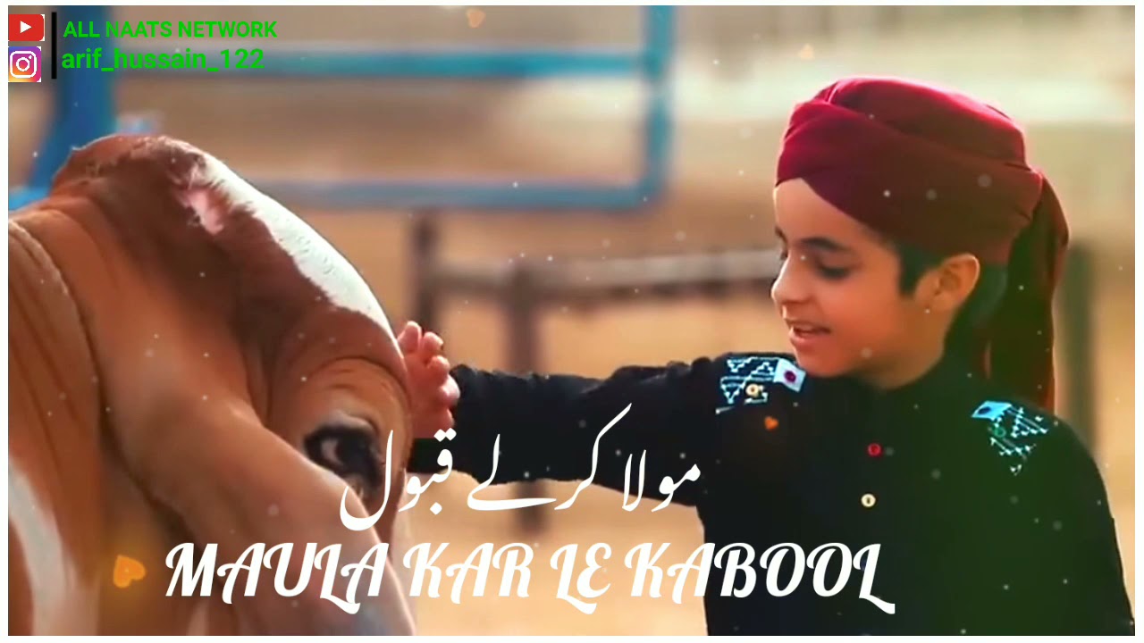 Bakra Eid Mubarak WhatsApp Status |  4k Full Screen Status || Eid Ul Azha Status | Qurbani Krenge
