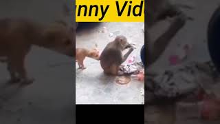 Fanny Video Manke