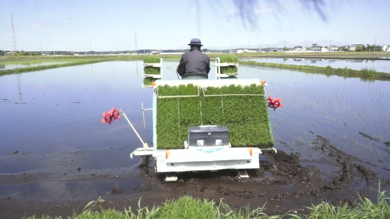 芳賀町の田植え 2日目 苗の外し方 5月10日 - YouTube