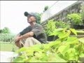 H.Lalchawinghaka Thlawi law law a fair