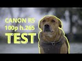 Canon eos r5 10bit hevc h265 100p slow motion test  non scientific camera test