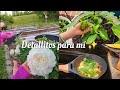 Paciencia en el hogar llegan plantas a mi huertodesayuno sencillo y saludable vlog