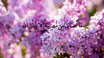 سورة التغابن الآية 11 رعد الكردي لا تنسونا من خالص دعائكم🙃😊