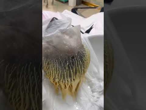 یه ترکیب رنگ عالی از رو مش کلاهی 