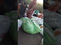 ખેડૂત પુત્ર