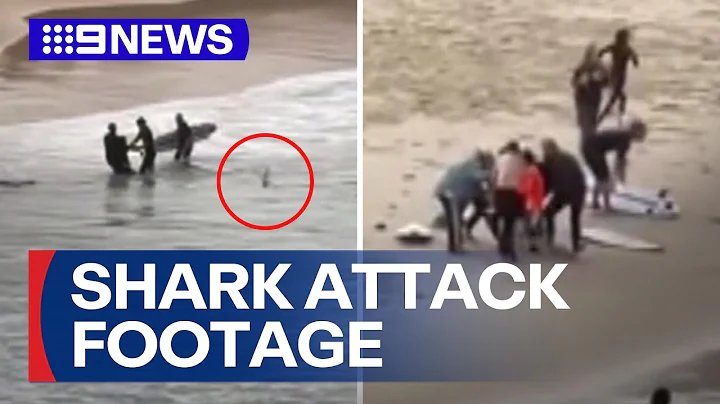 Footage released of bystanders saving a teenage boy after shark attack | 9 News Australia