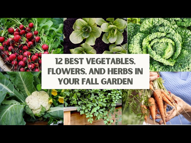 Best herbs to grow in the fall (recommend planting, cooler temperatures, welldraining soil, planted fall) Best herbs to grow in the fall