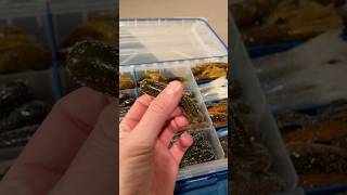 One Of The Best Smallmouth Bass Baits Of All Time Tube Fishing For Bass