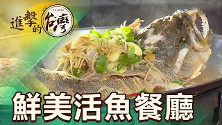 曾文水庫女漢子大臉盆砂鍋魚頭第368集《進擊的台灣》part2 ... 