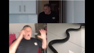 Angry Dad Snake has eaten the dogs prank
