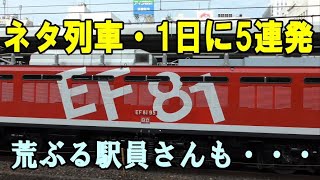 配給から工臨までネタ列車を1日で5連発！・荒ぶる駅員さん