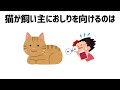 猫の雑学 #雑学 #豆知識 #ねこ