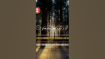 من سورة الفجر #القرآن_الكريم #quran #تلاوة_جميله