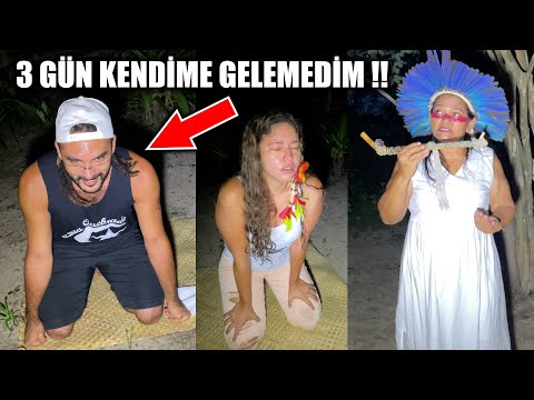 Video: Pamliko çayında köpək balıqları var?