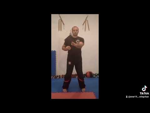 Wing Chun. Урок 14. Сиу Ним Тао ( часть 1 )