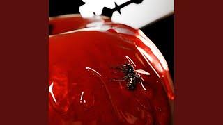 Download Lagu O-bi O-ba MP3