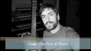 RIO PALMIERI  'godin flat five x Demo'