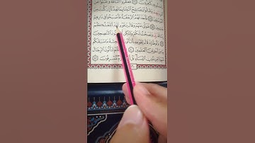 تعليم سورة الأعراف من 79 إلى 81
