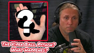 Brian Barczyk and The Long Lost Ball Python (The Viper Ball)