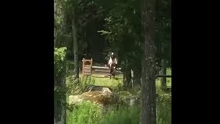 Little Girl Riding A Horse Fail