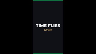 Why Does Time Speed Up as You Get Older?