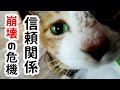 もうすぐ築き上げてきた信頼関係が崩壊してしまうかもしれません・・・