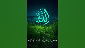 أجمل تلاوة قصيرة تهز القلوب | بصوت القارئ عبدالرحمن مسعد