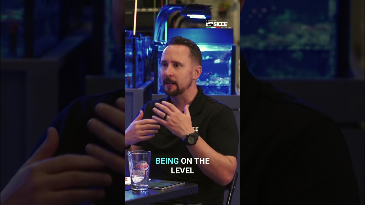 Aquarium Business: Leading Employees with Fun & Success #shorts