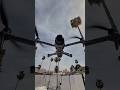 Drone DJI Mavic 4 Pro vs Strong Wind – Stable Flight in Extreme Conditions