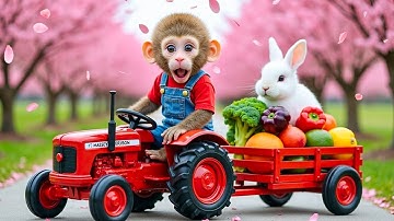 سورة البقرة - تلاوة مرتلة بصوت الشيخ ياسر الدوسري