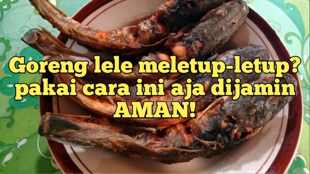 Cara Menggoreng Lele Agar Tidak Meletus - Youtube