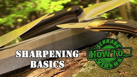 Knife Sharpening Basics: How to Sharpen a Fine Edged Knife With a Stone Sharpener