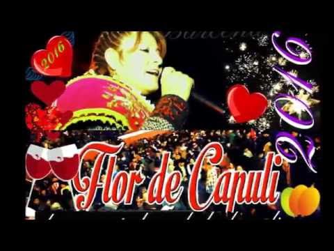 Flor De Capuli