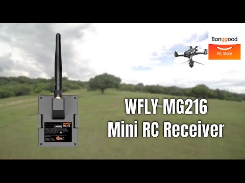 WFLY MG216 2.4GHz RC Receiver for RC Drone - Banggood RC Store
