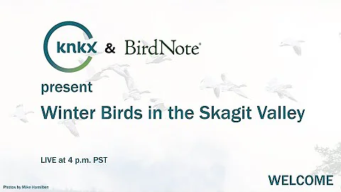 KNKX and BirdNote present Winter Birds in the Skag...