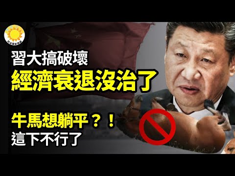 ?习总大搞破坏中国经济衰退没治了;?牛马想躺平?!这下不行了;?李嘉诚父子大抛售中国邮储银行⚡中共好朋友卢拉翻脸反制中共倾销?刺激经济多大规模人大常委会开会时间或推迟【阿波罗网VO】
