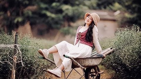 Góc Chia Sẻ VƯỜN HOA CÚC HỌA MI SIÊU ĐẸP NGAY TẠI THANH HÓA GIỮ LÒNG THÀNH PHỐ