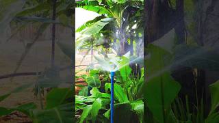 best of the best garden sprinkler from PVC pipe cap #khtool