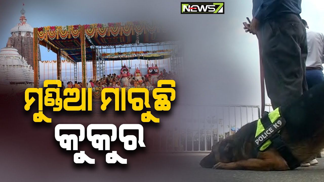 Cutest Thing On Internet Today | Dog Bows In Front Of Jagannath Temple, Seeks Blessing