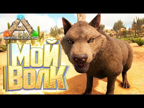 Видео: Топовые ВОЛКИ - ARK Survival Выжженные Земли #5