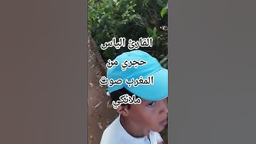القارئ الياس حجري من المغرب صوت ملائكي