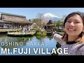 Yamanashi oshino hakkai  fujiyoshida mtfuji with sakura cherry blossoms japan vlog