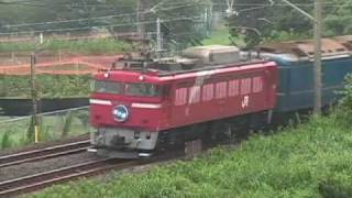 EF510カシオペアと最後のEF81北斗星 白岡-新白岡間